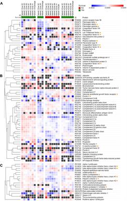 Plasma enzymatic activity, proteomics and peptidomics in COVID-19-induced sepsis: A novel approach for the analysis of hemostasis